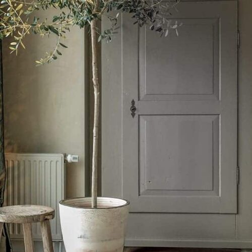 traditional-paint-elephant-skin-fresco-sand-storm-pure-original