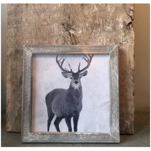 Toevoegen aan favorieten