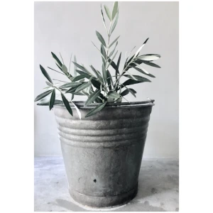 Toevoegen aan favorieten