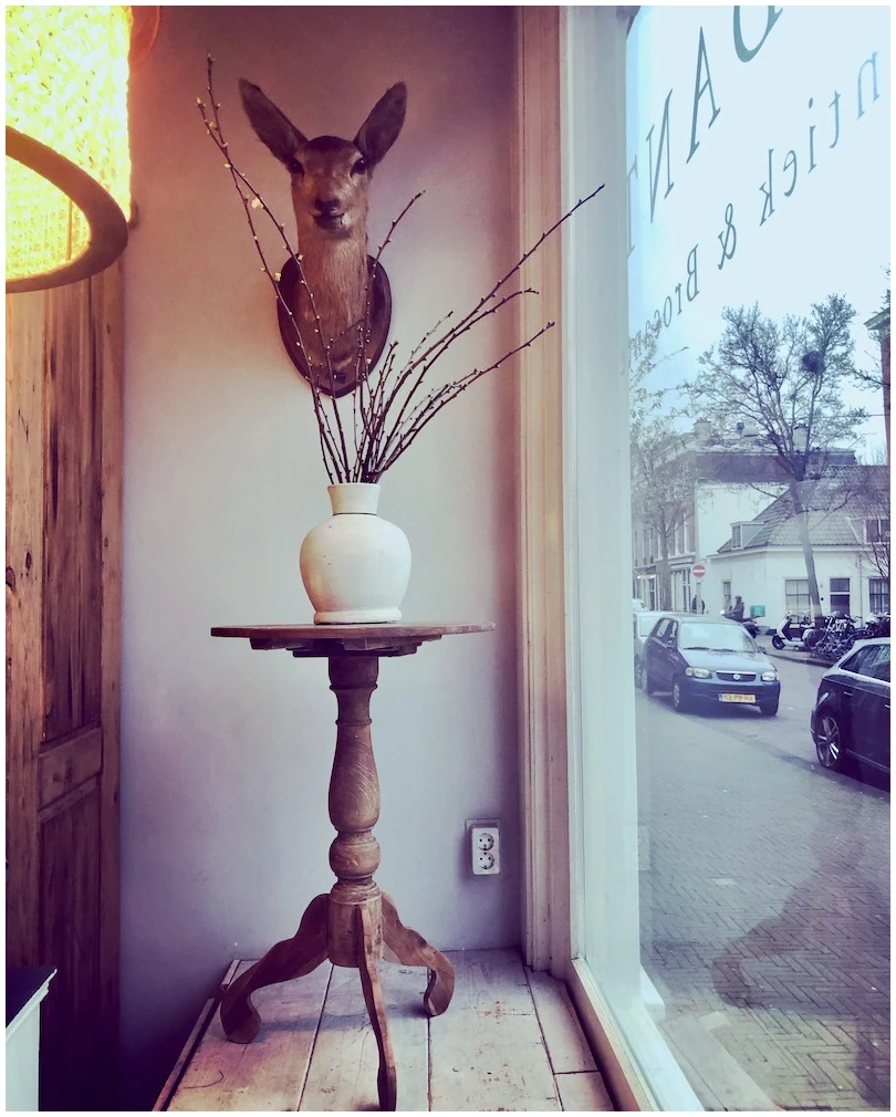 REEBOK OPGEZET - Afbeelding 2